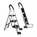 Ladder Convertible to Trolley