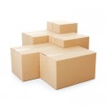 Double Wall Plain Carton Box - 294(L) x 194(W) x 288(H)mm